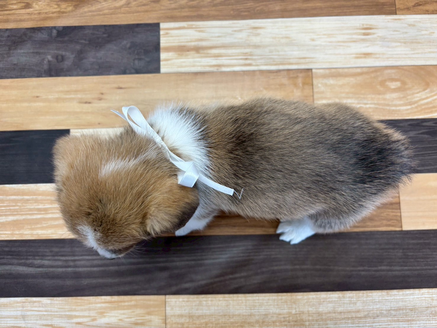赤ちゃん写真3-3