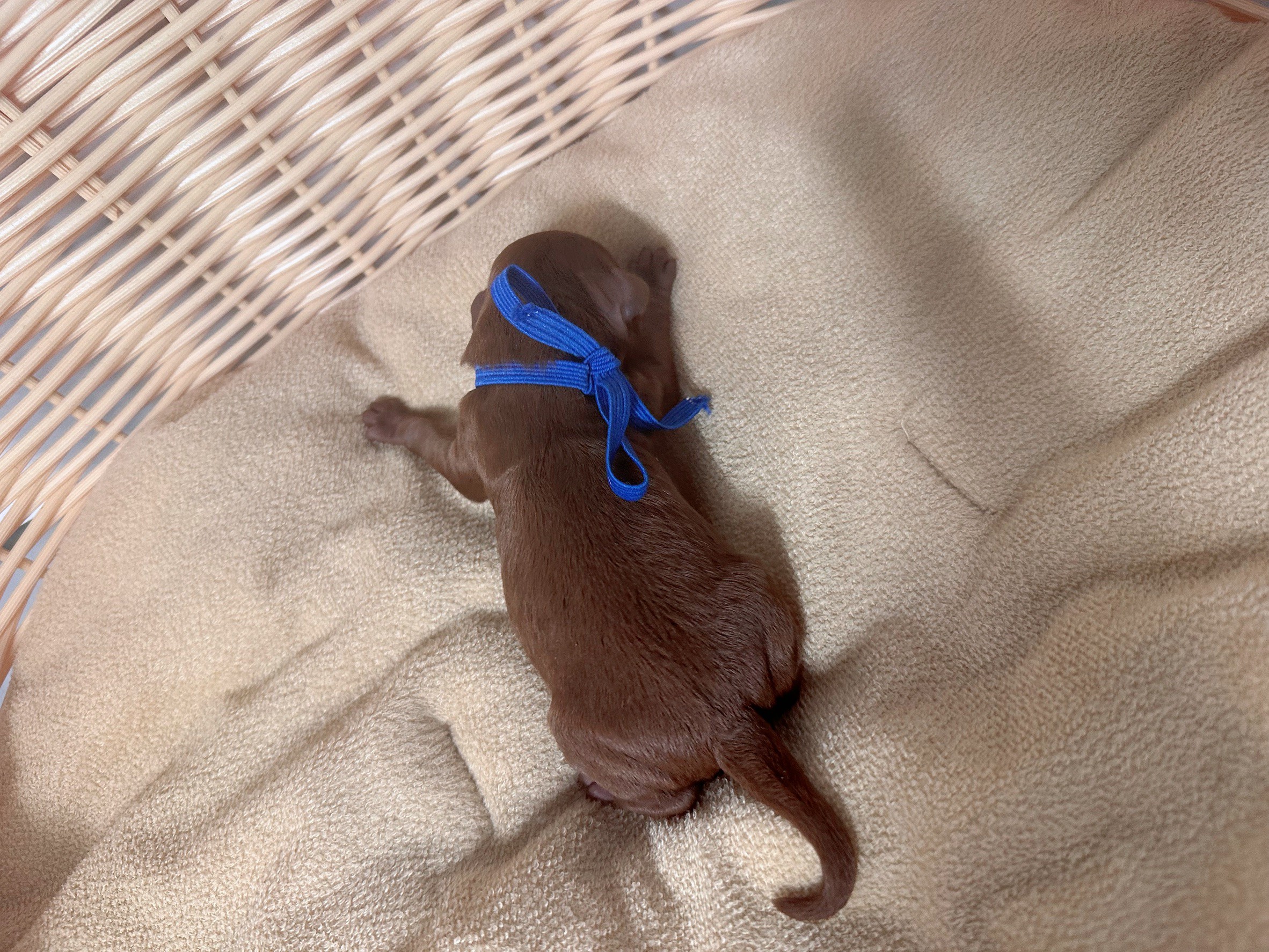 赤ちゃん写真1-3