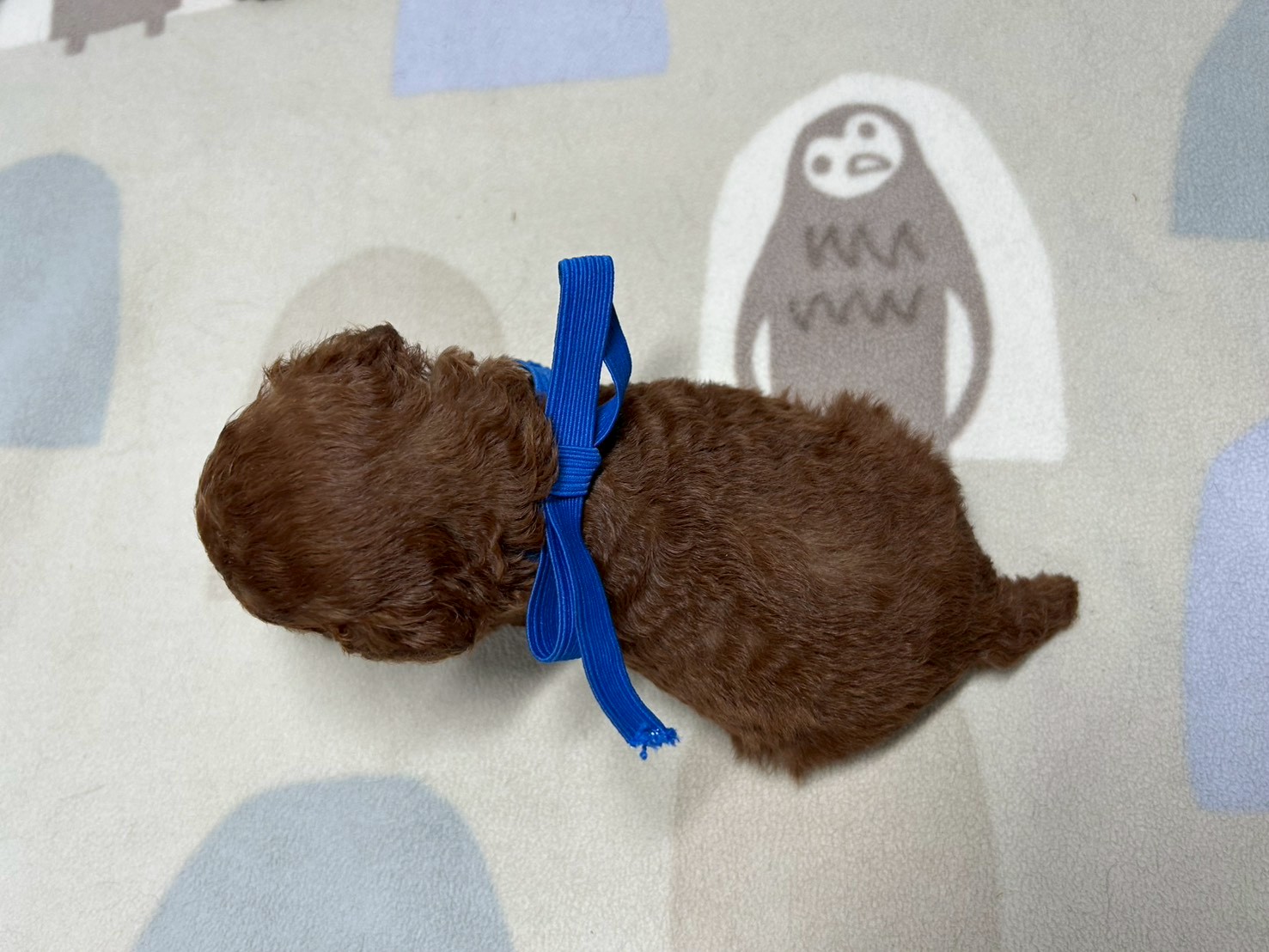 赤ちゃん写真2-3