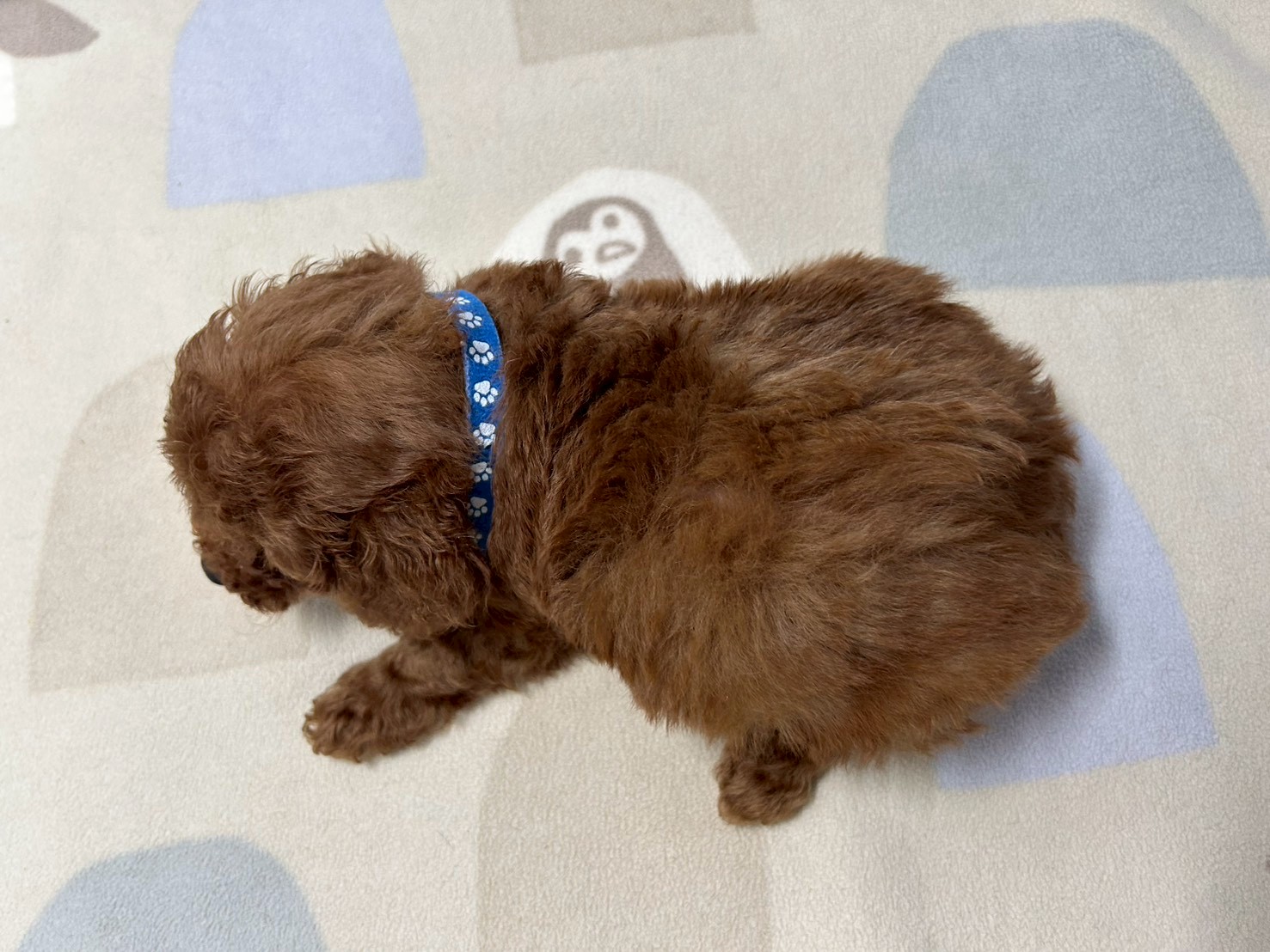 赤ちゃん写真3-3