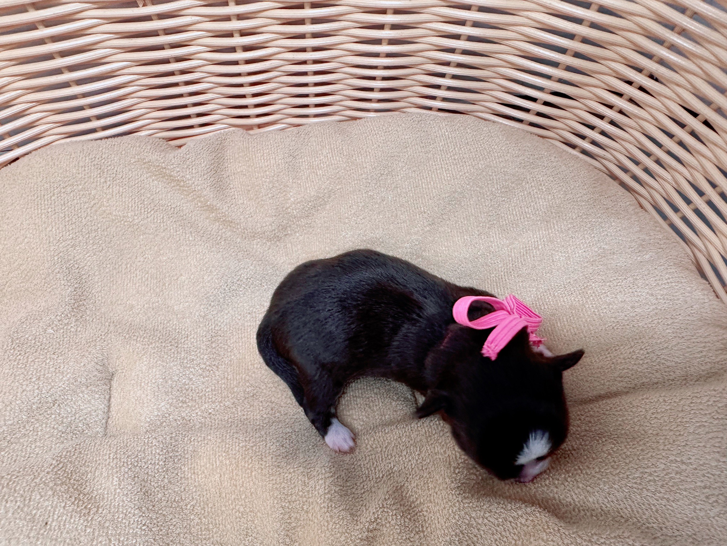 赤ちゃん写真1-3
