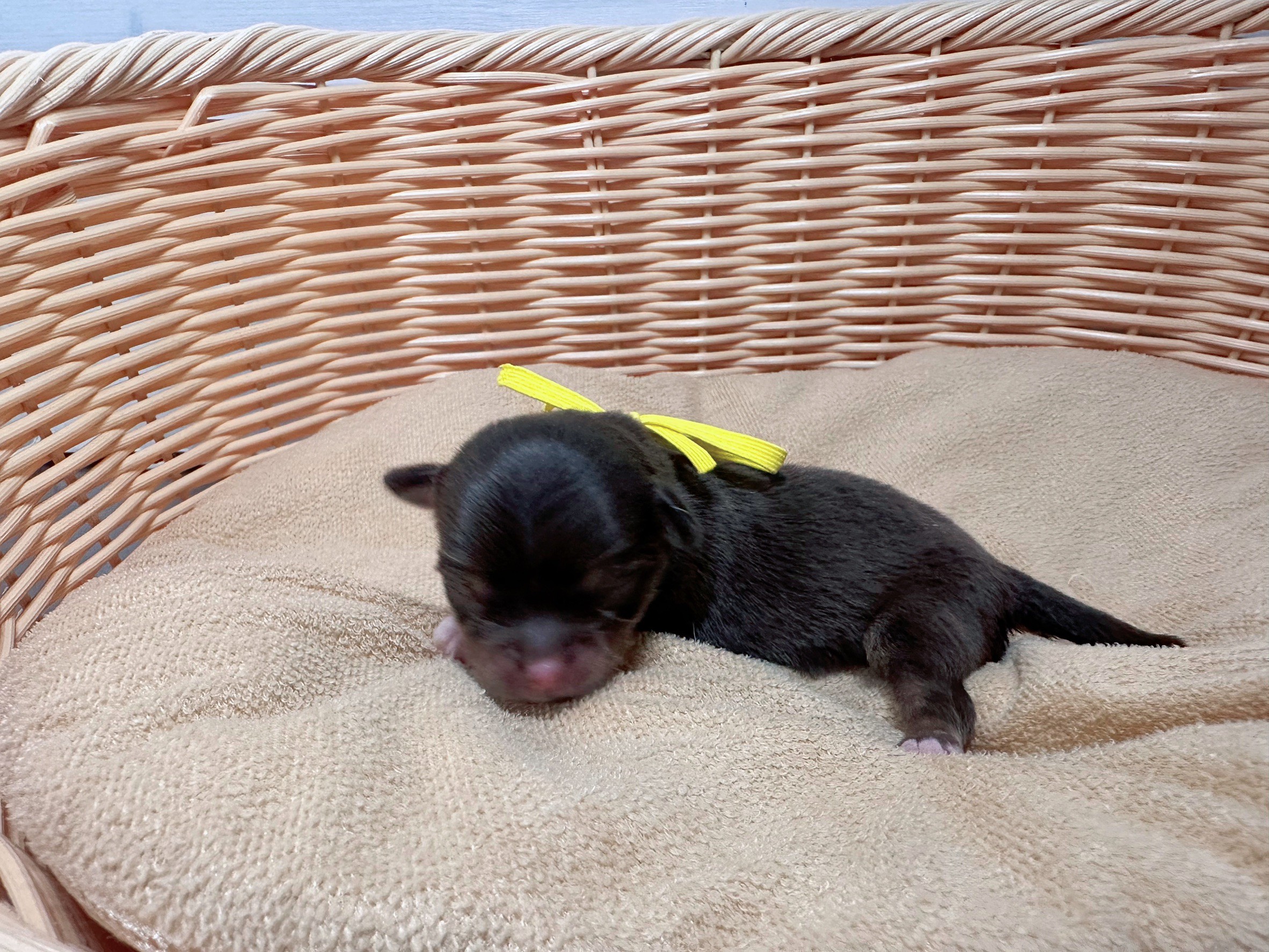 赤ちゃん写真1-2