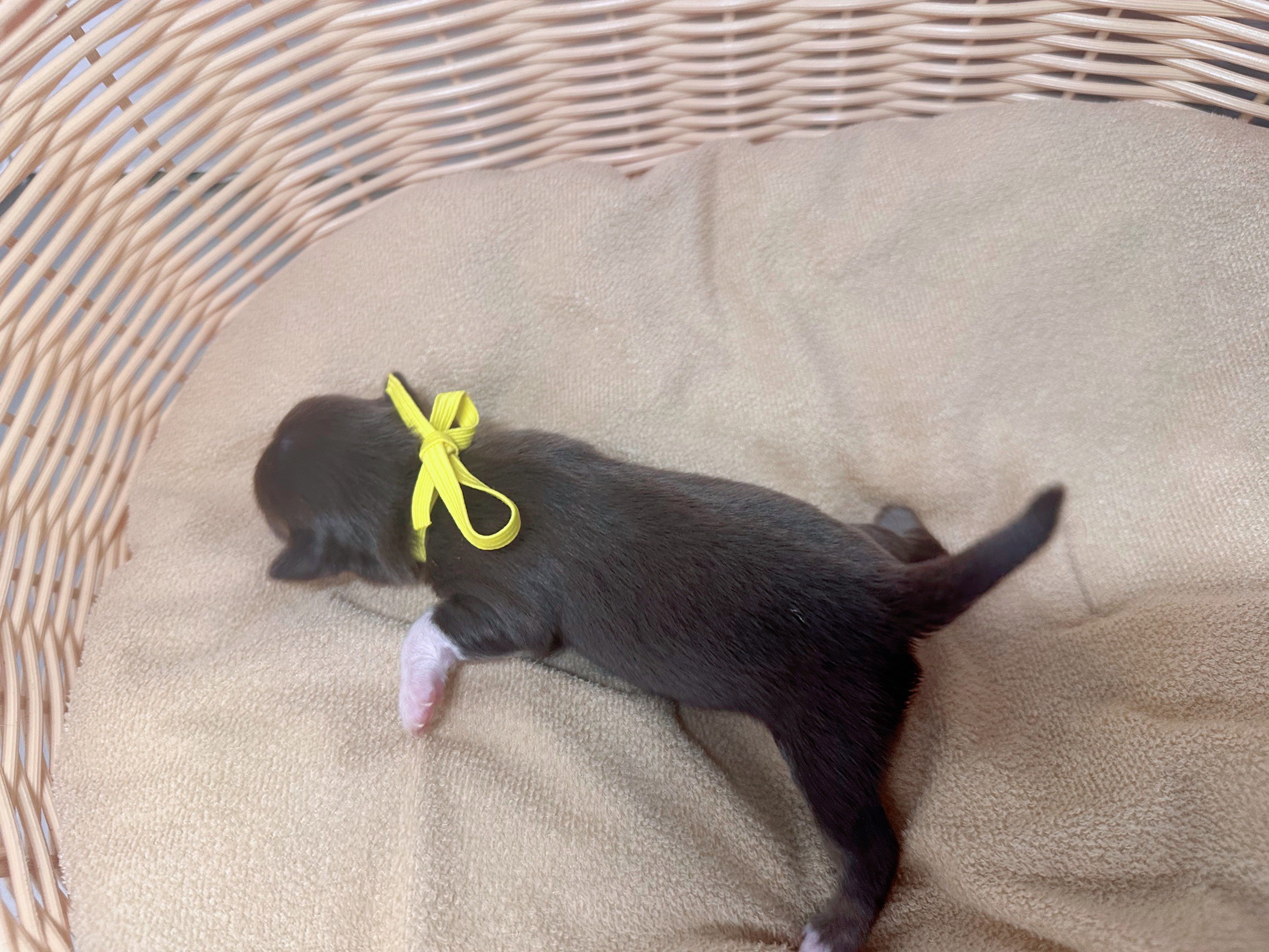 赤ちゃん写真1-3