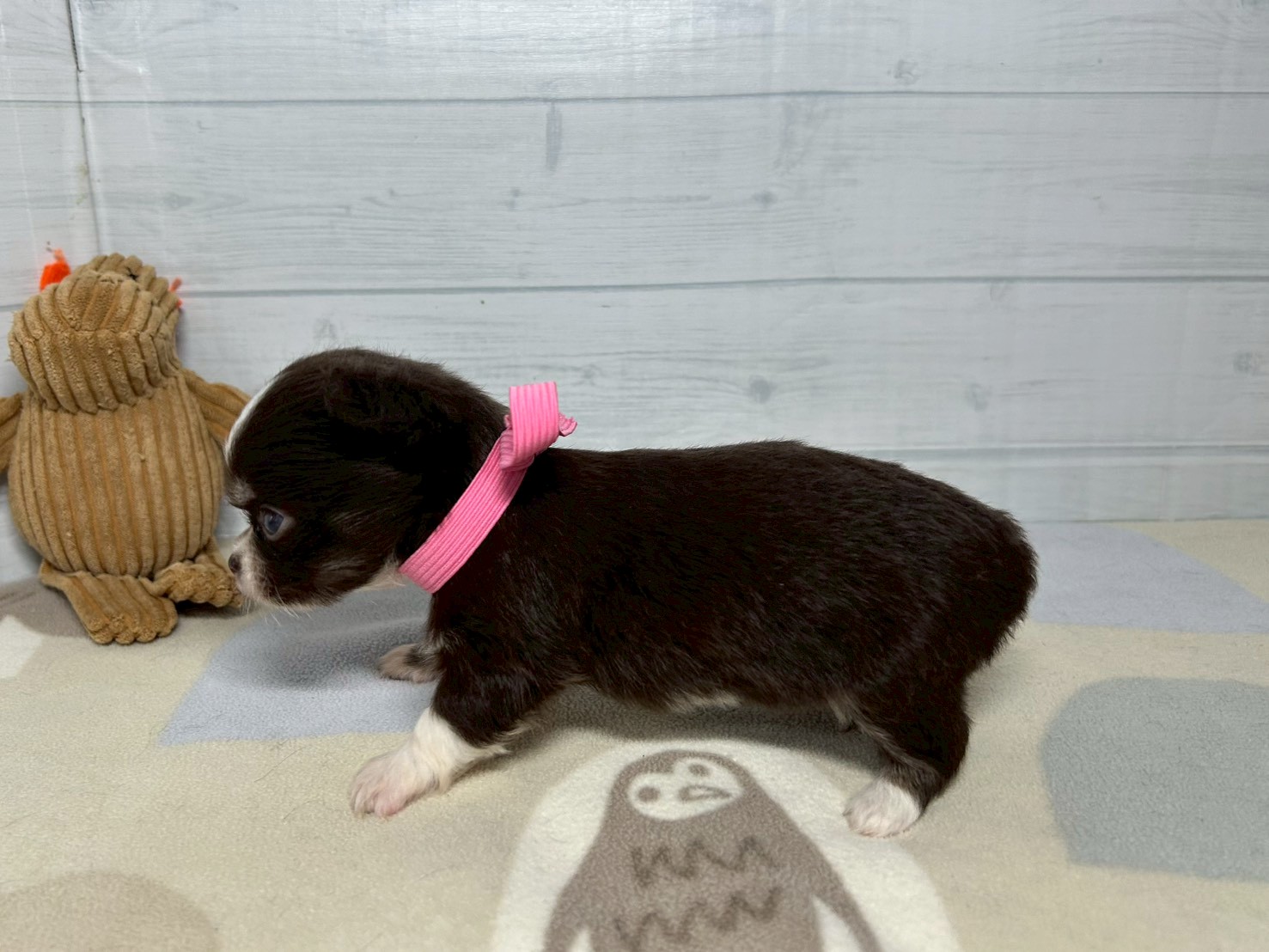 赤ちゃん写真2-2