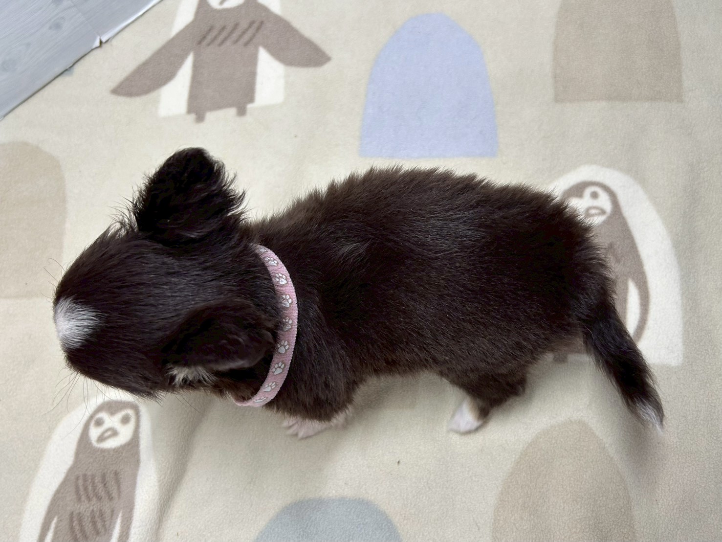 赤ちゃん写真3-3