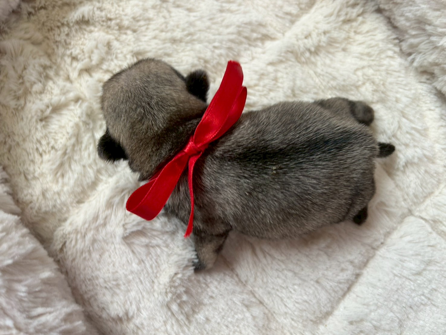 赤ちゃん写真1-3