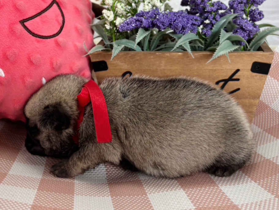 赤ちゃん写真2-2