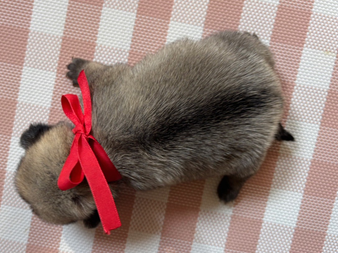 赤ちゃん写真2-3