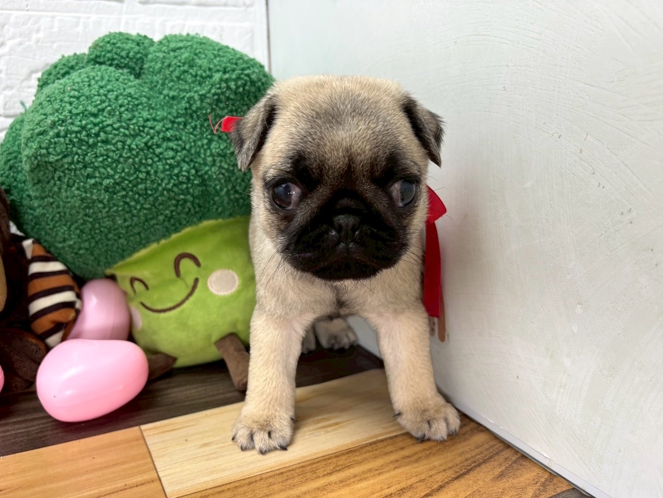 赤ちゃん写真3-1