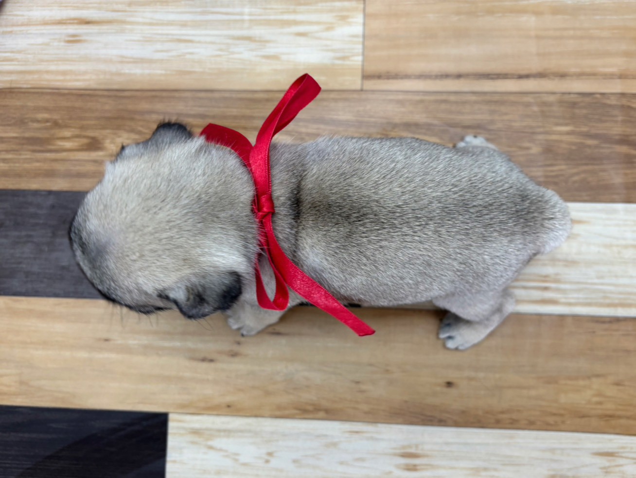 赤ちゃん写真3-3