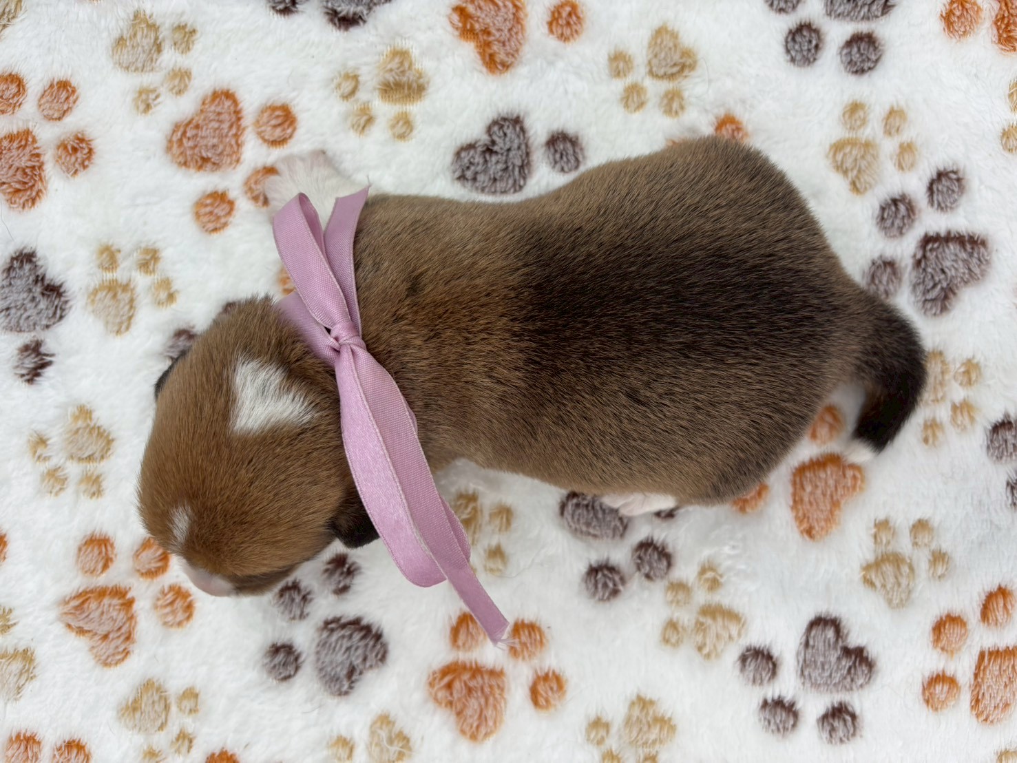 赤ちゃん写真1-3