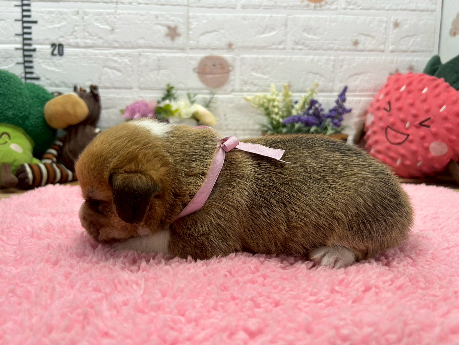 赤ちゃん写真2-2