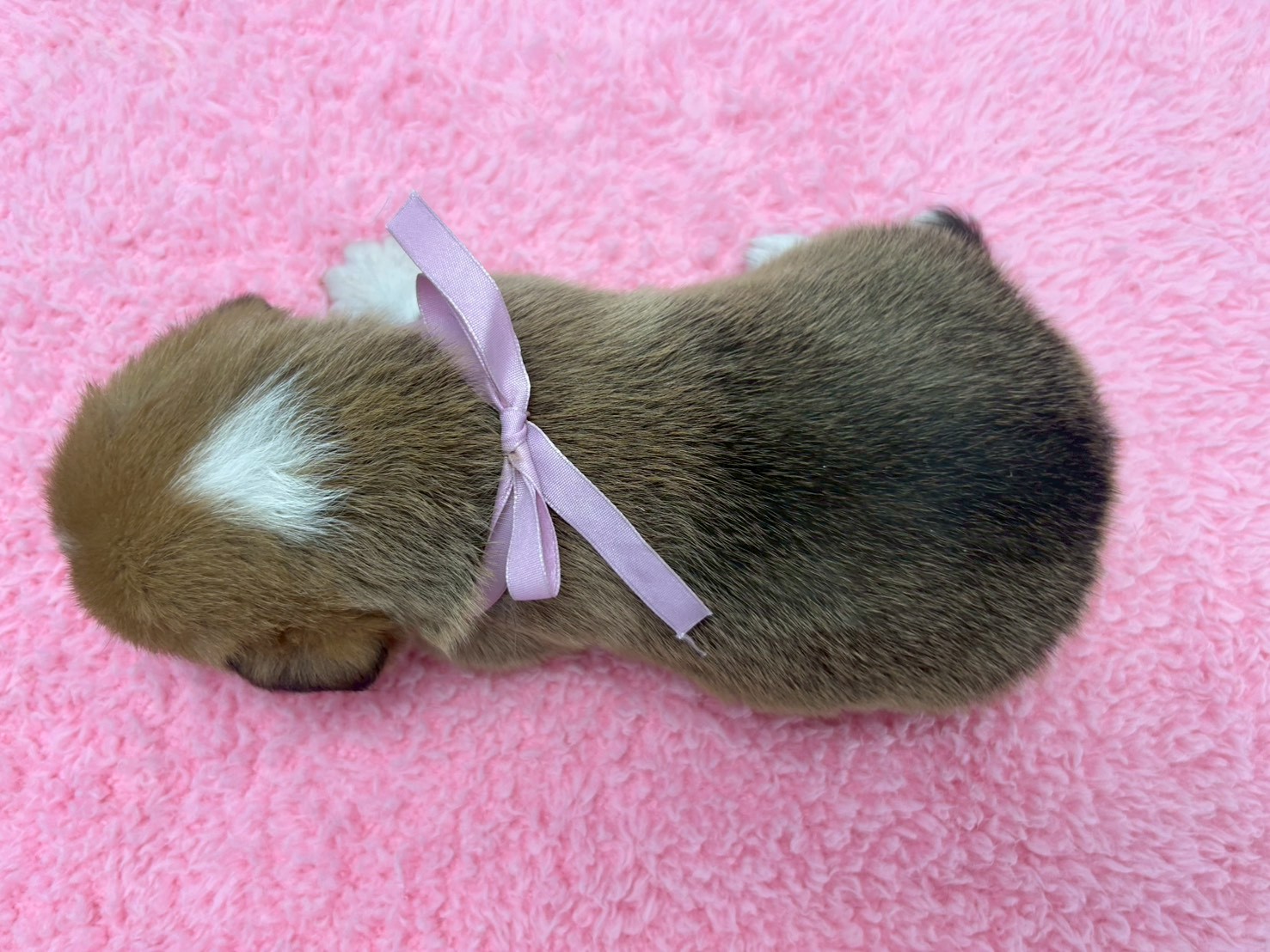 赤ちゃん写真2-3
