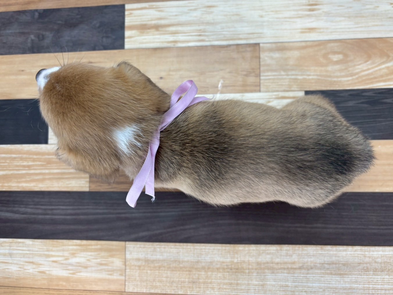 赤ちゃん写真3-3