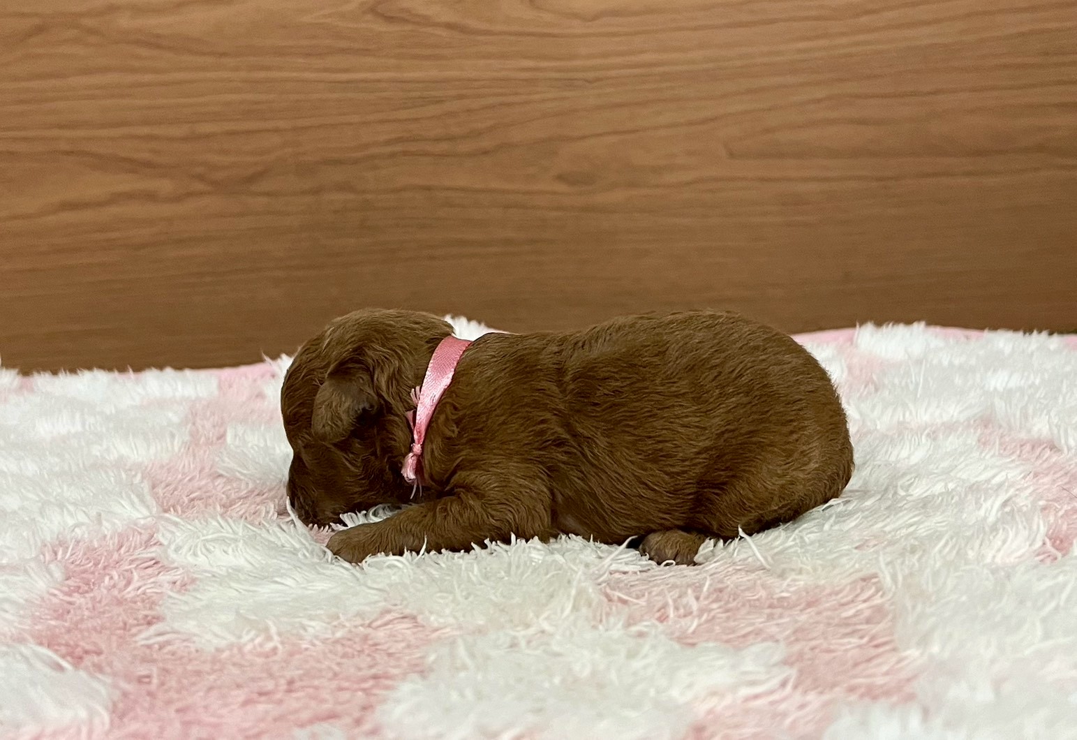 赤ちゃん写真1-2