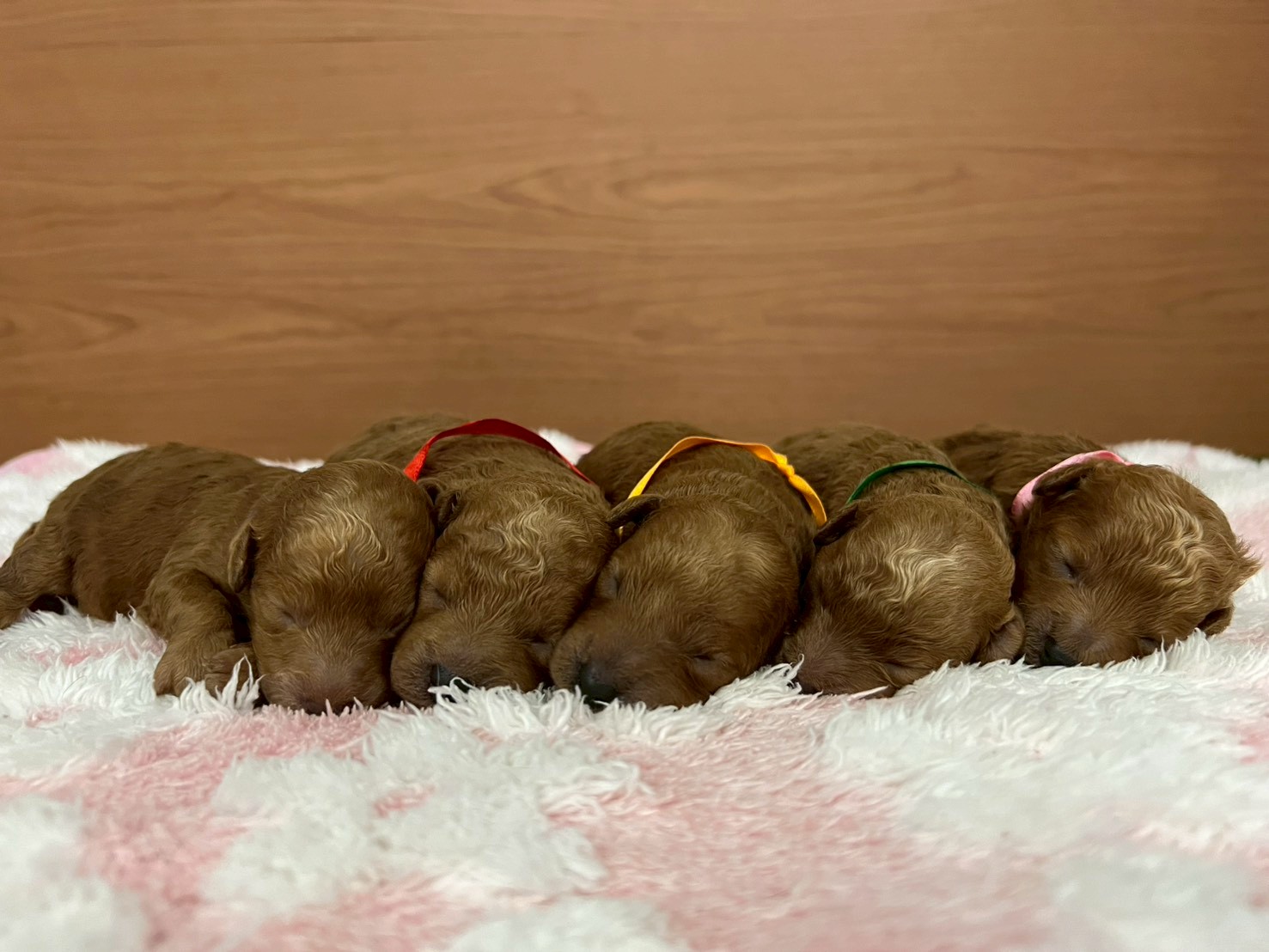 赤ちゃん写真1-3