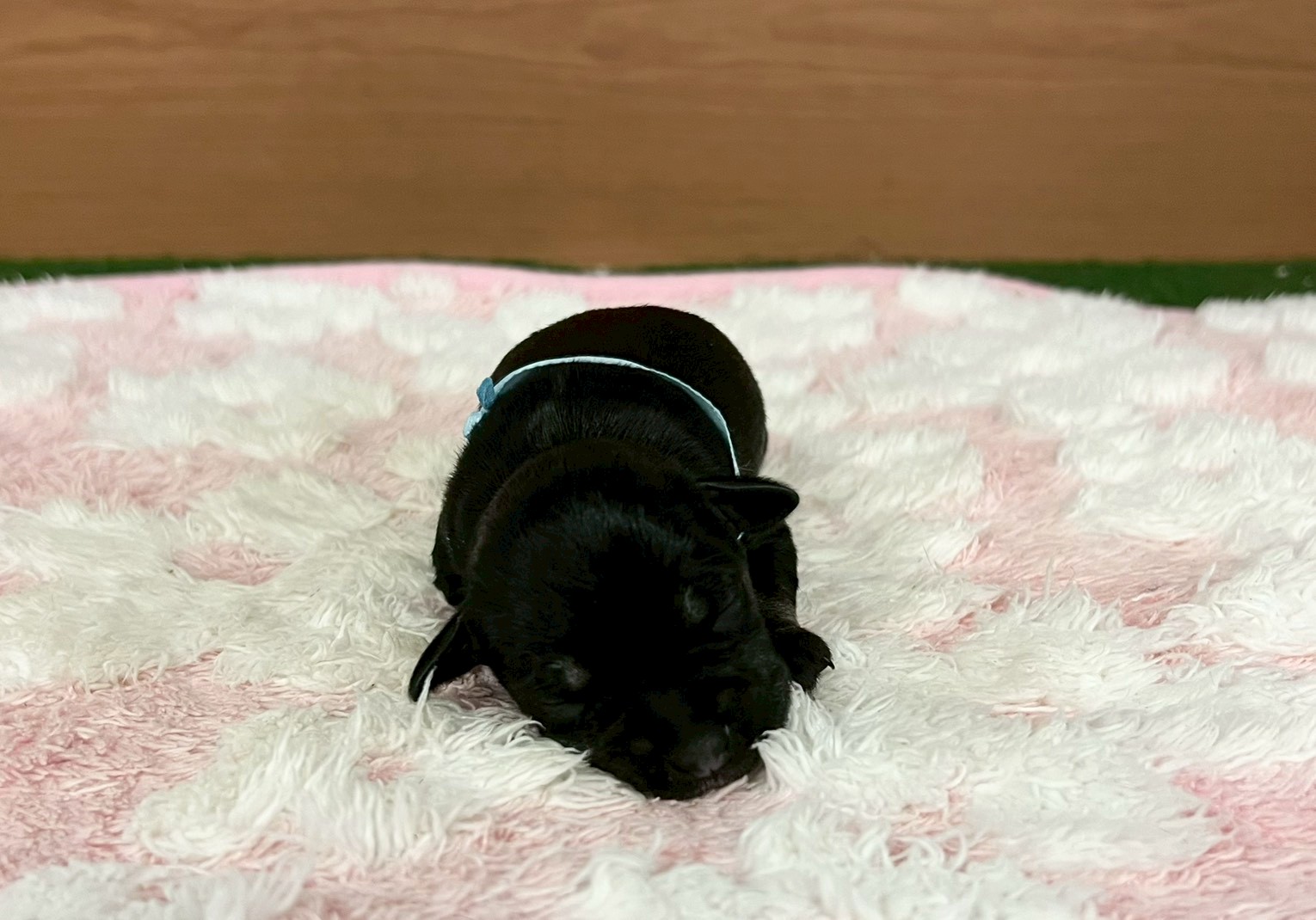 赤ちゃん写真1-1