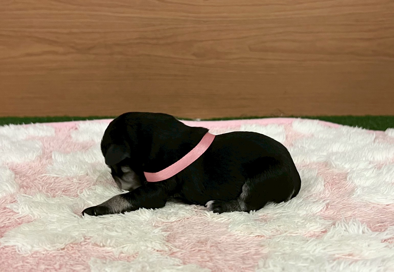 赤ちゃん写真1-2