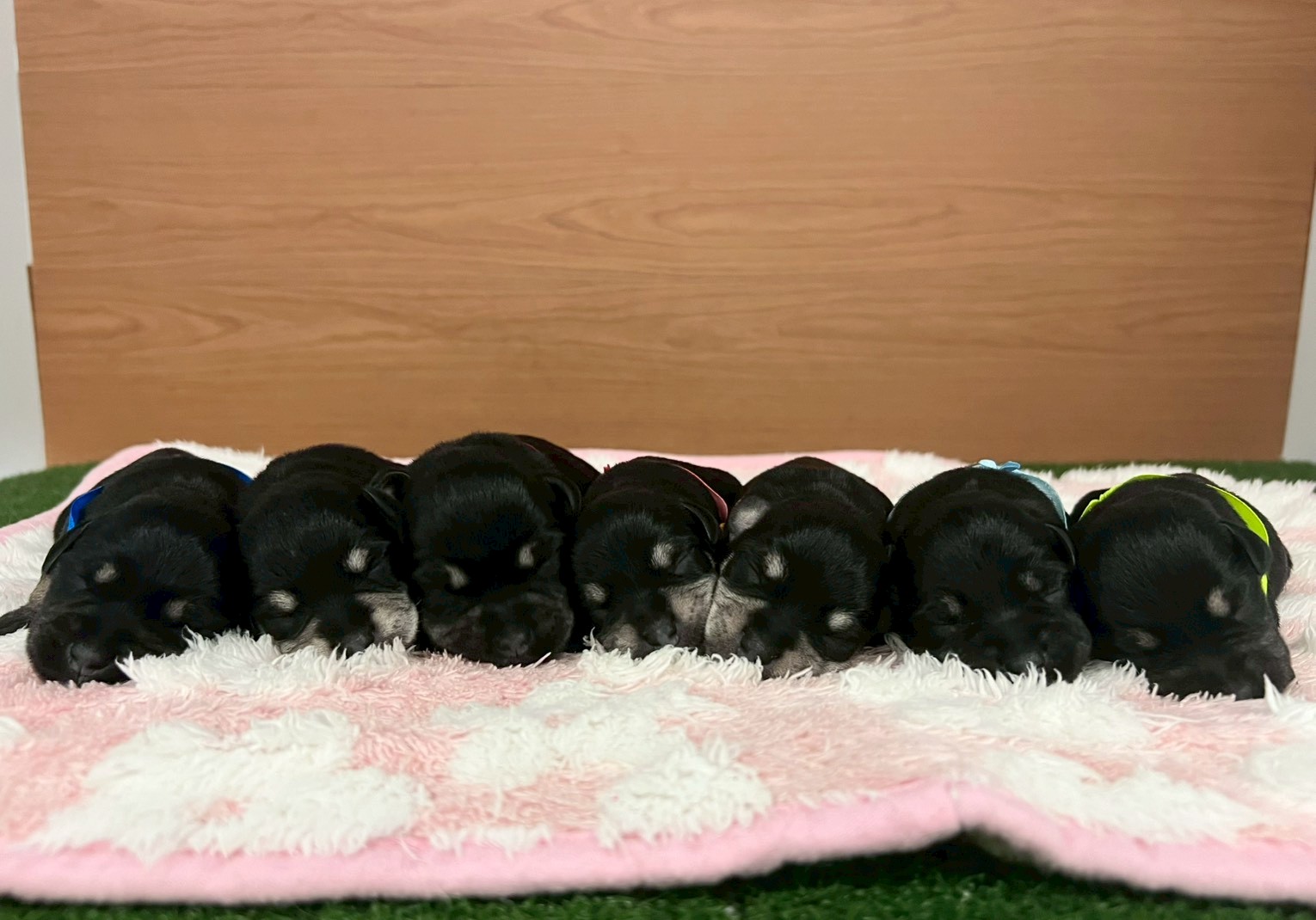 赤ちゃん写真1-3