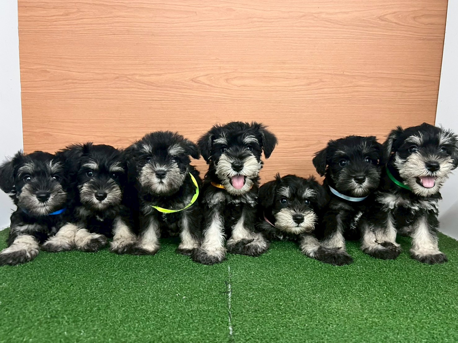 赤ちゃん写真3-3