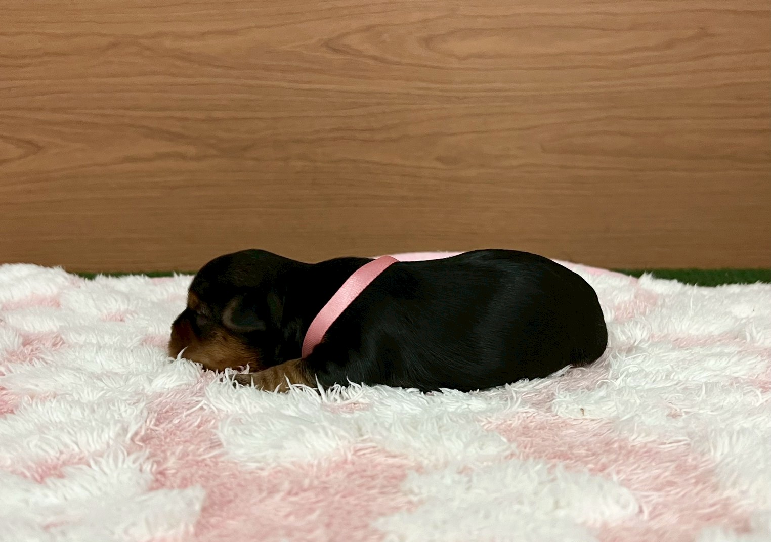 赤ちゃん写真1-2