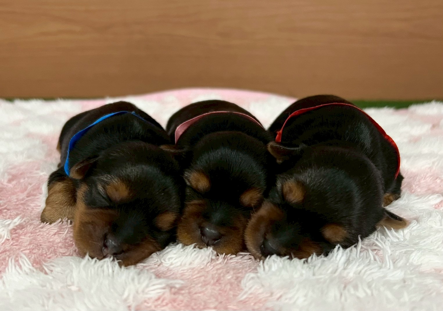 赤ちゃん写真1-3