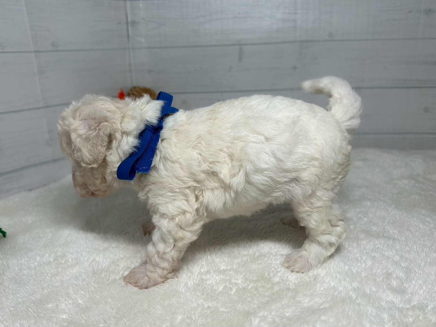 赤ちゃん写真2-2