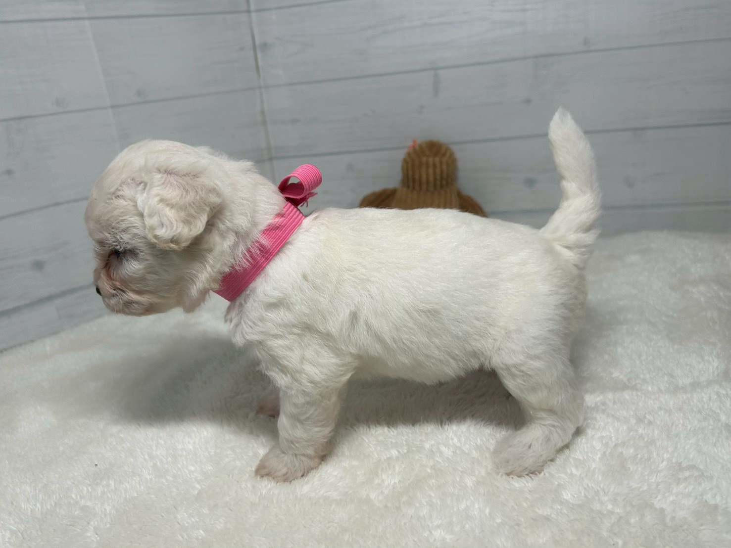 赤ちゃん写真2-2