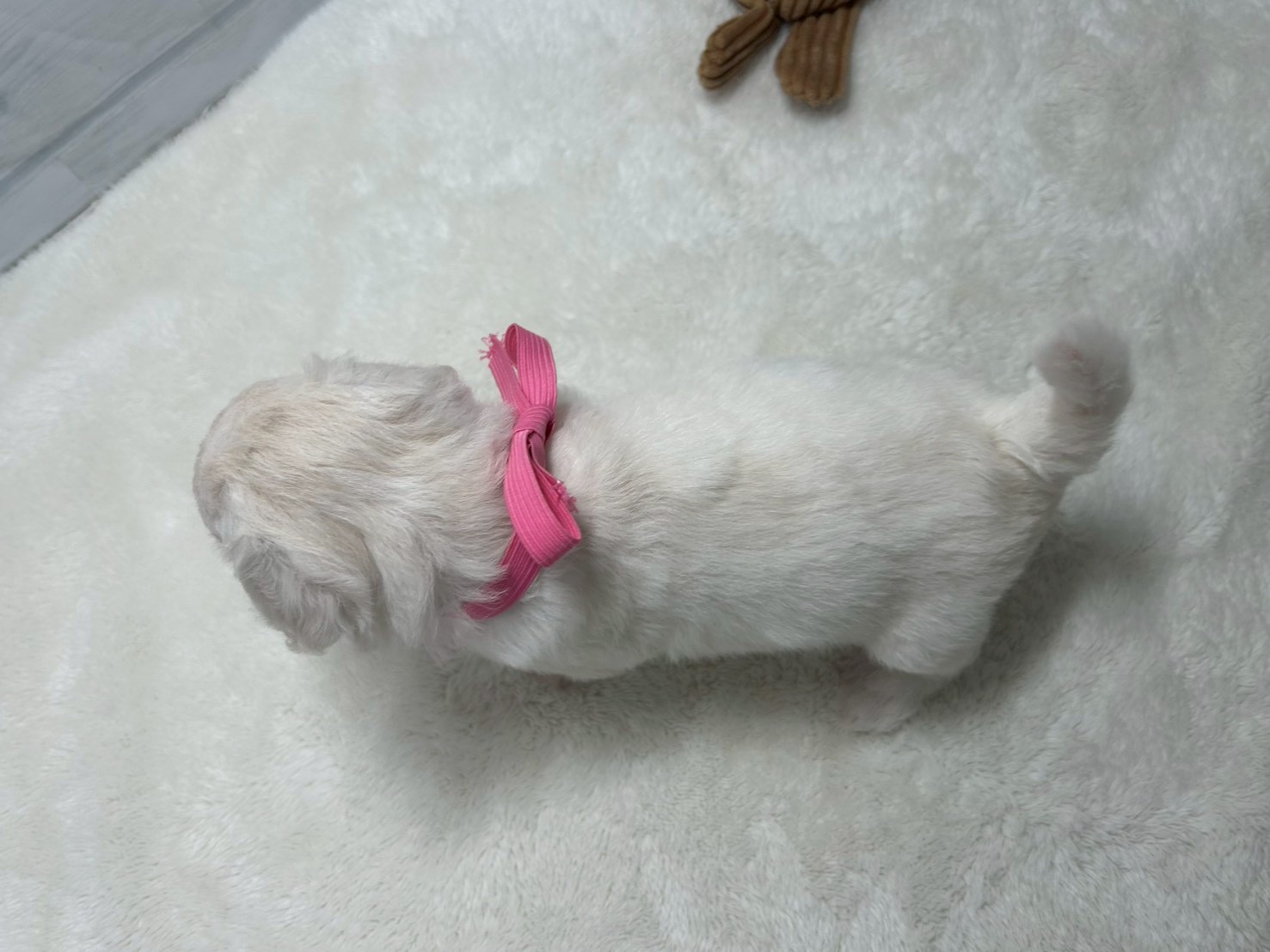 赤ちゃん写真2-3