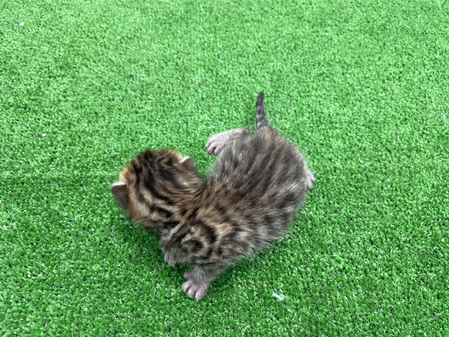 赤ちゃん写真1-3
