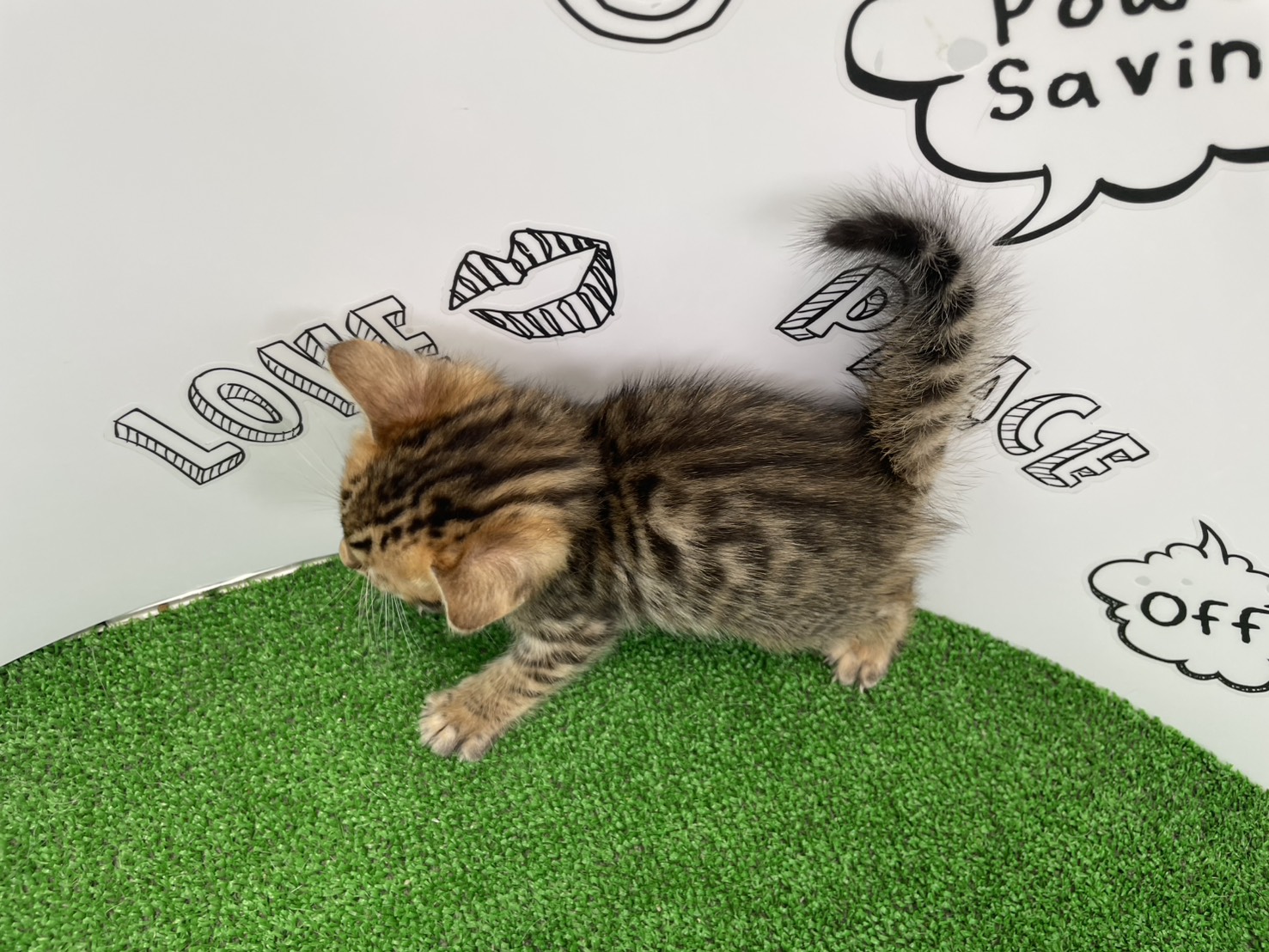 赤ちゃん写真2-3