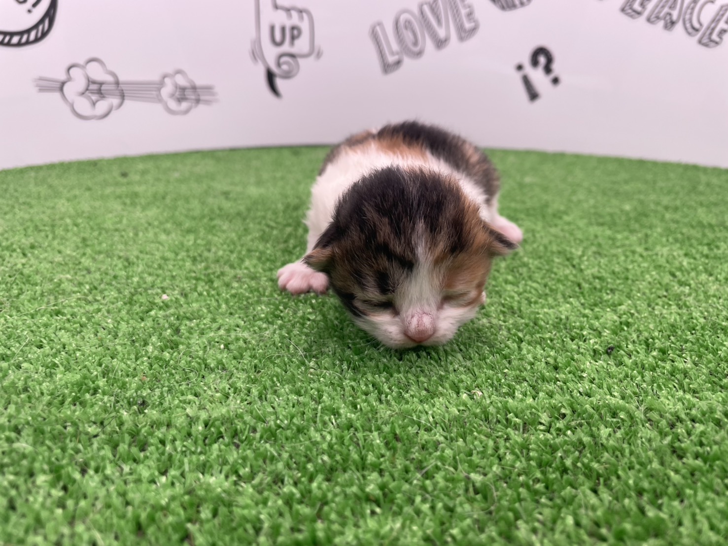 赤ちゃん写真1-1