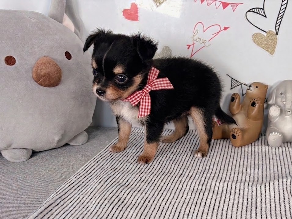 赤ちゃん写真2-2