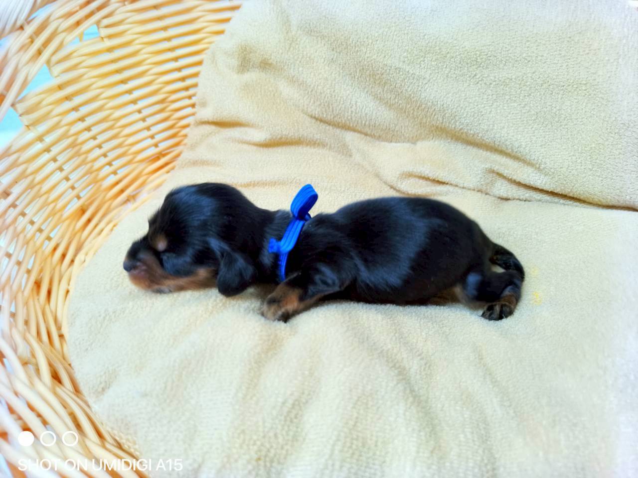 赤ちゃん写真1-2
