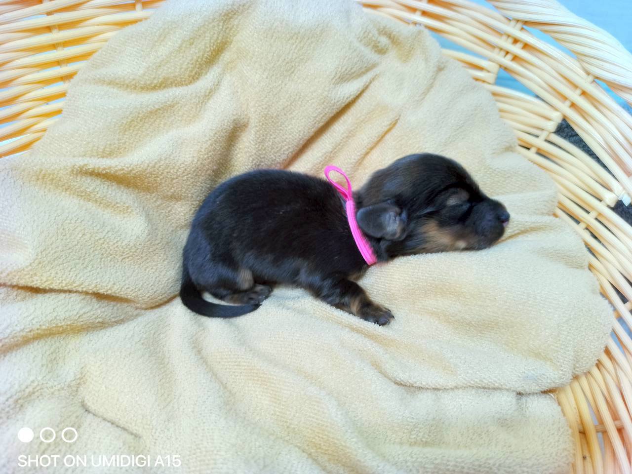 赤ちゃん写真1-2