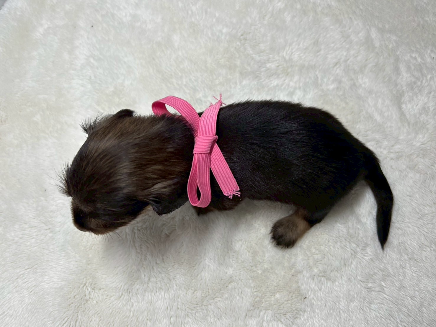 赤ちゃん写真2-3
