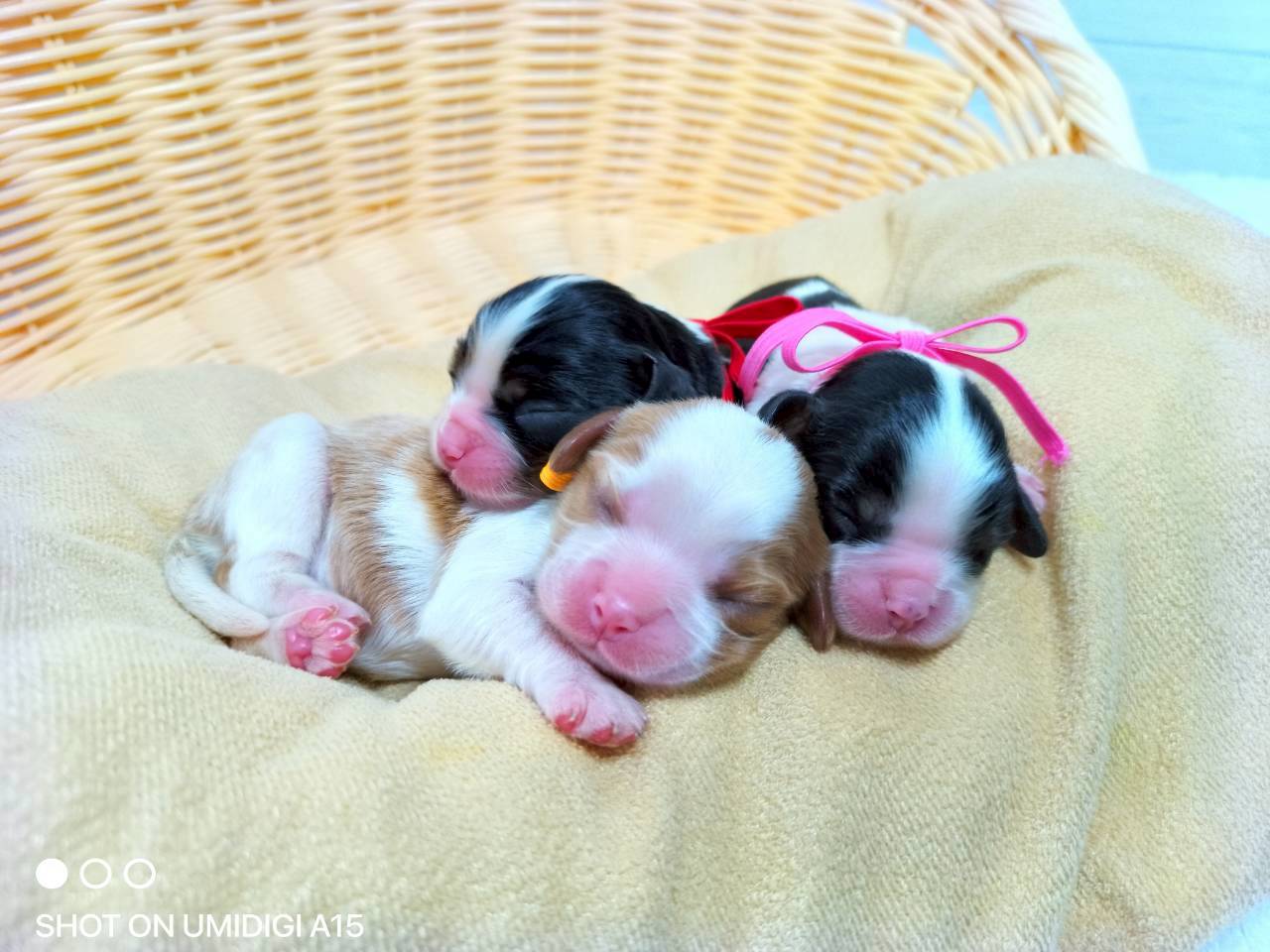 赤ちゃん写真1-3