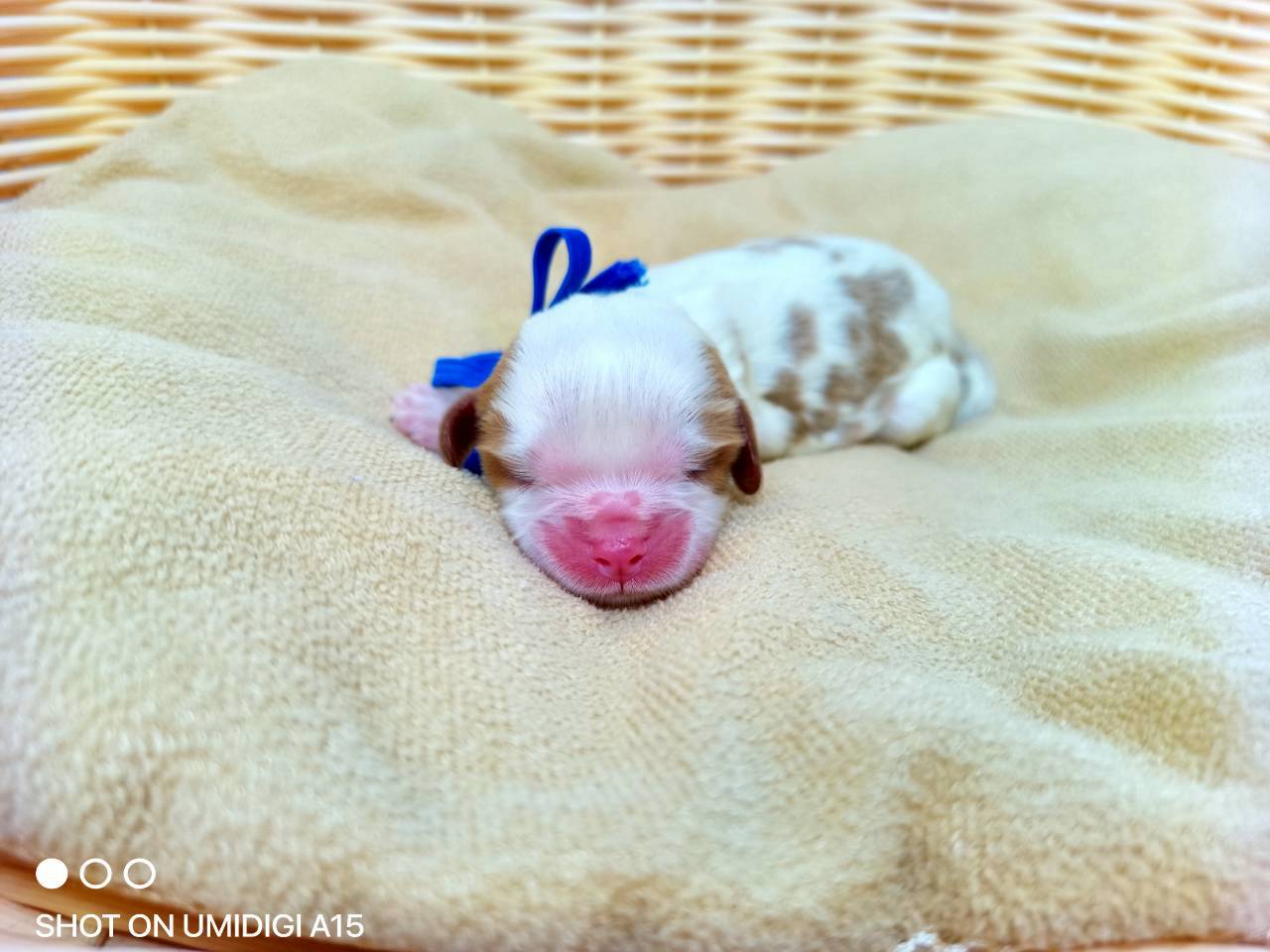 赤ちゃん写真1-1