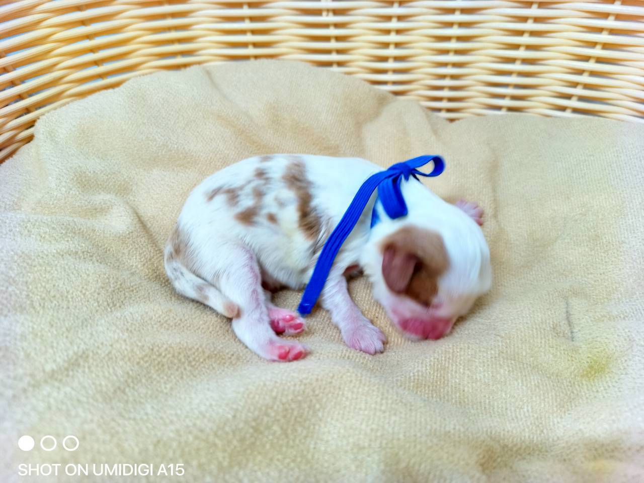 赤ちゃん写真1-2