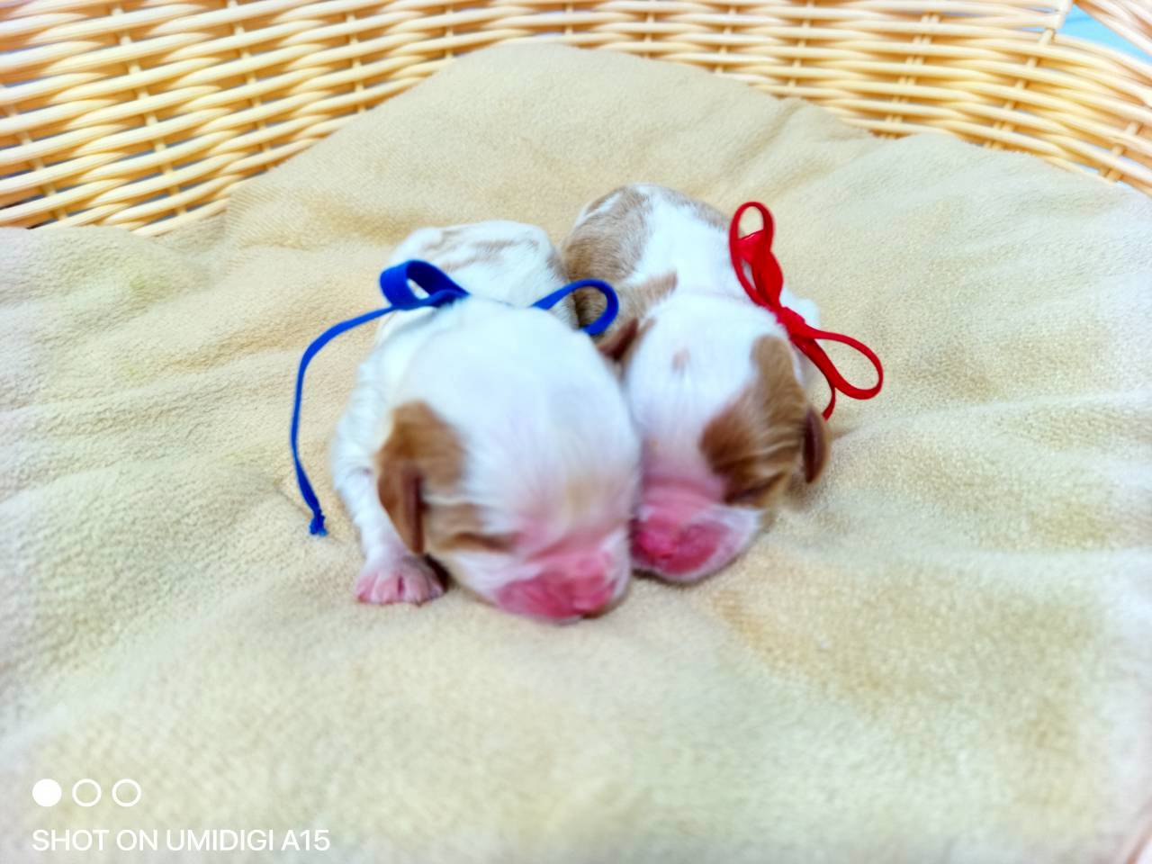 赤ちゃん写真1-3