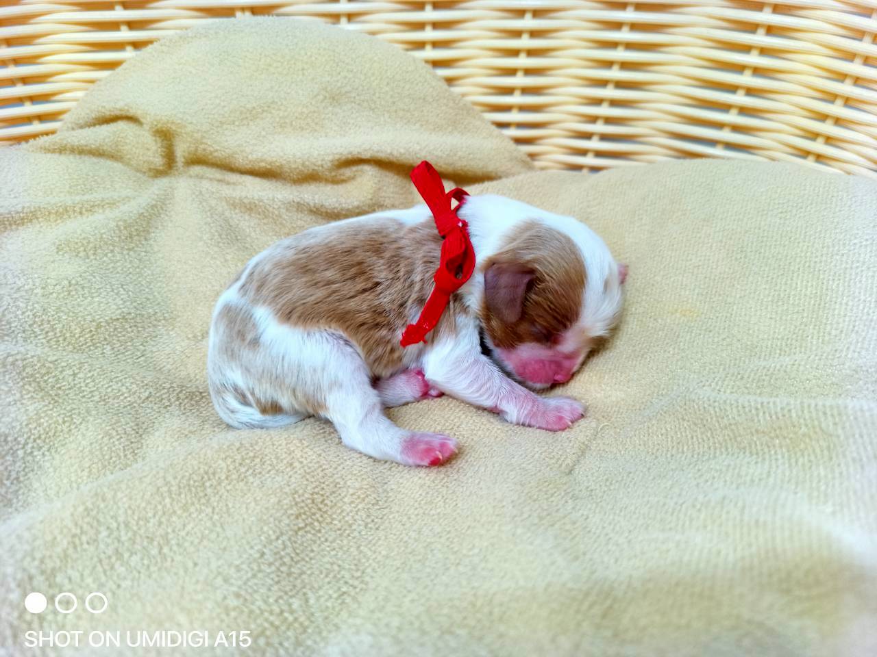 赤ちゃん写真1-2