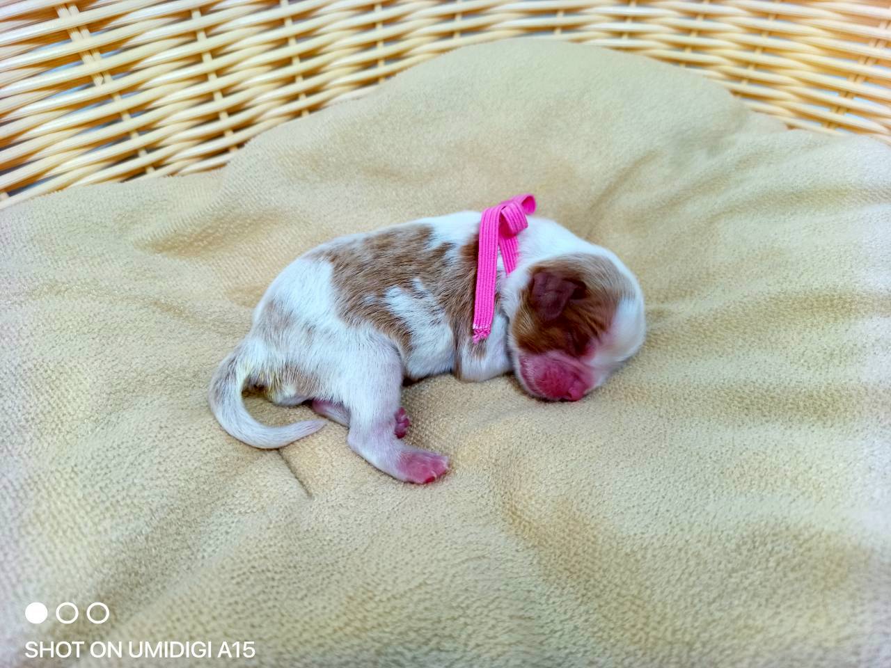 赤ちゃん写真1-2