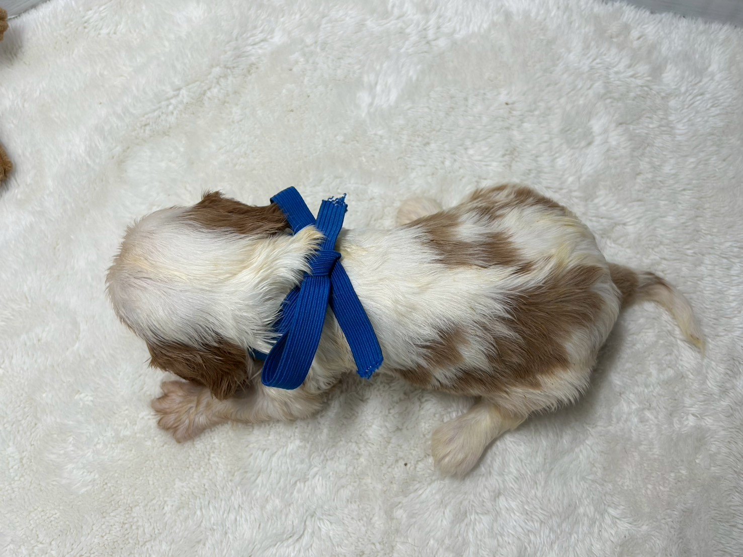 赤ちゃん写真2-3