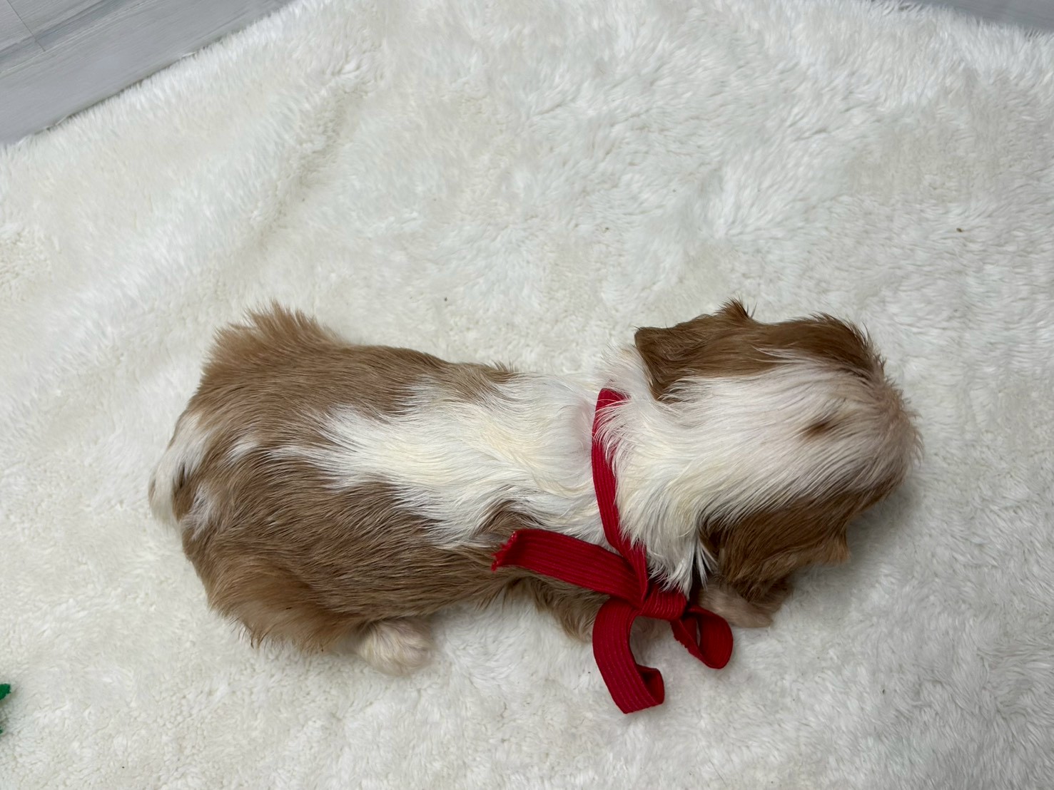 赤ちゃん写真2-3