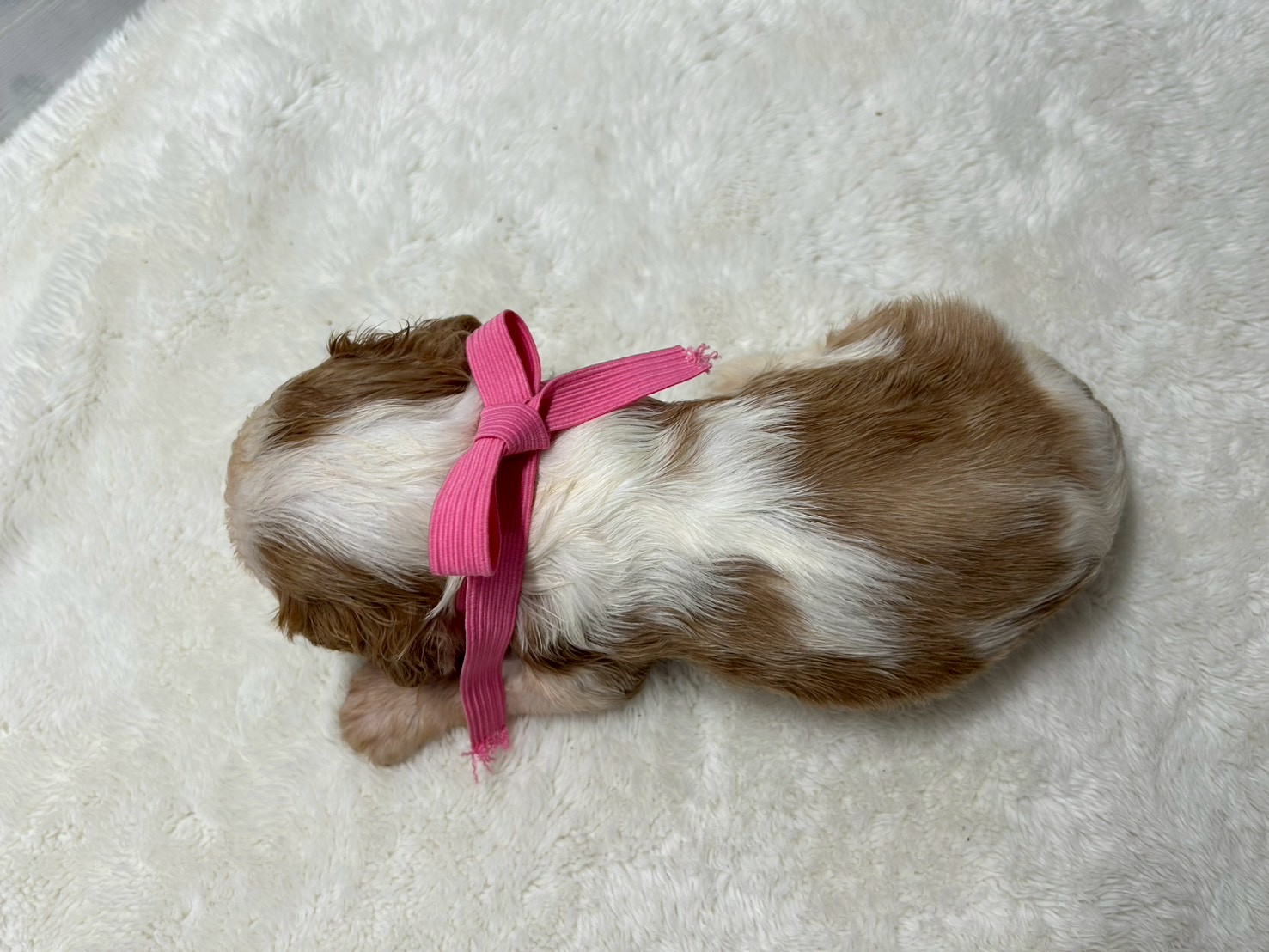 赤ちゃん写真2-3
