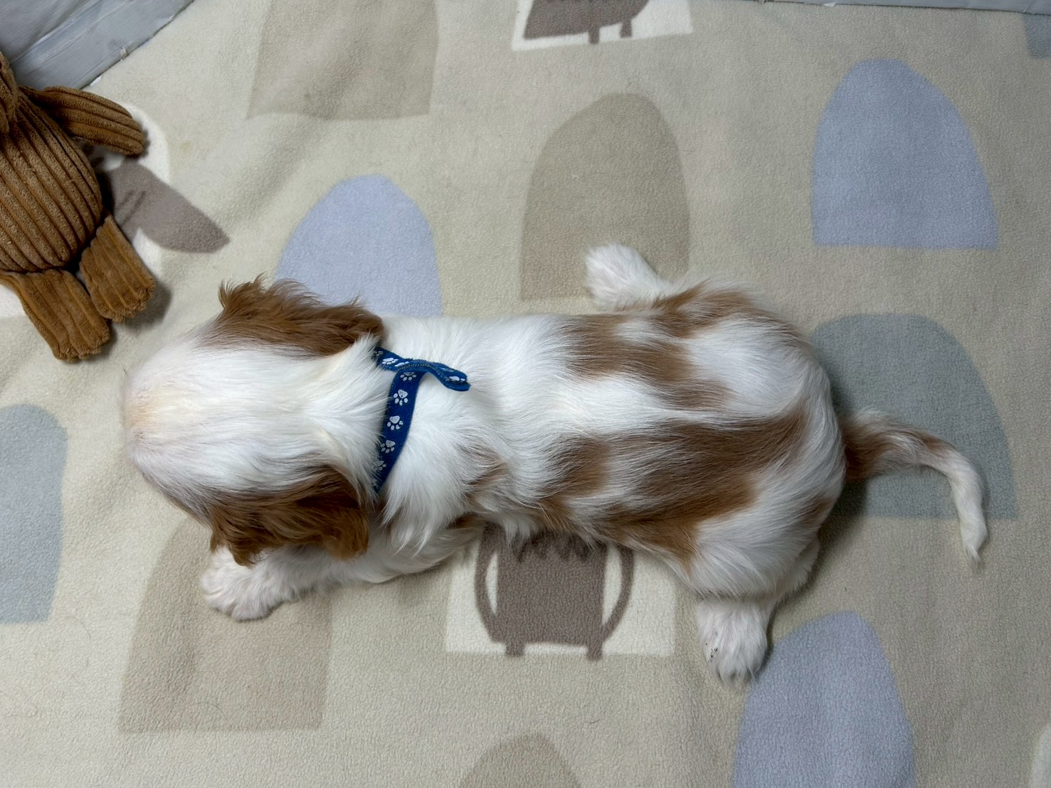 赤ちゃん写真3-3