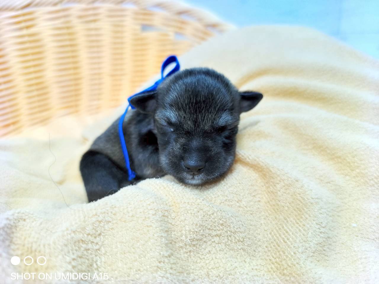 赤ちゃん写真1-1