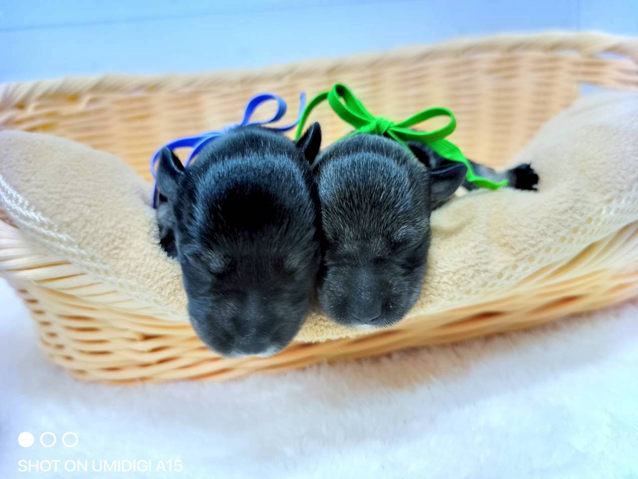 赤ちゃん写真1-3