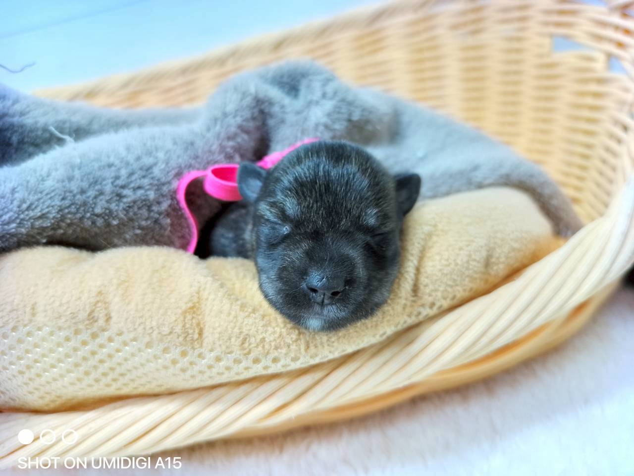 赤ちゃん写真1-1
