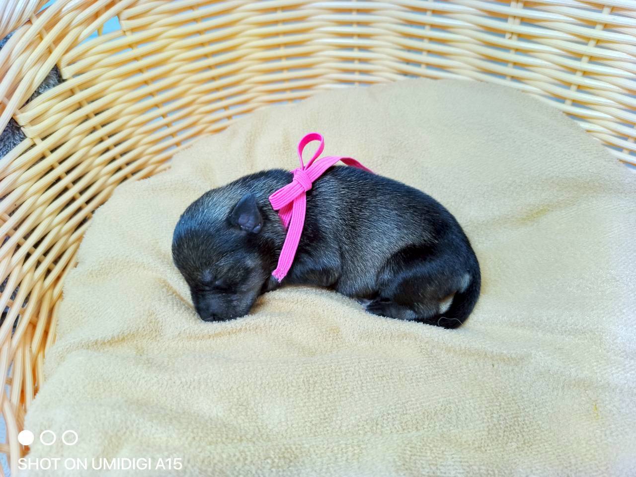 赤ちゃん写真1-2
